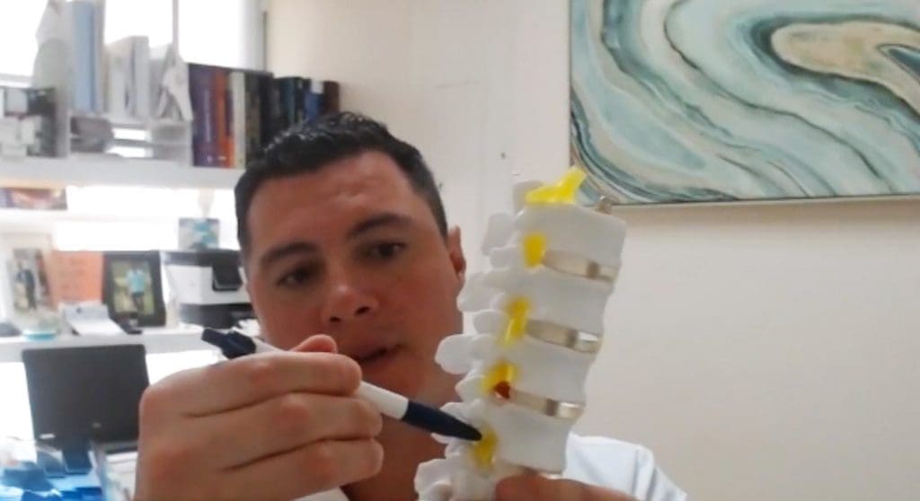 A man holding a model of a spine.