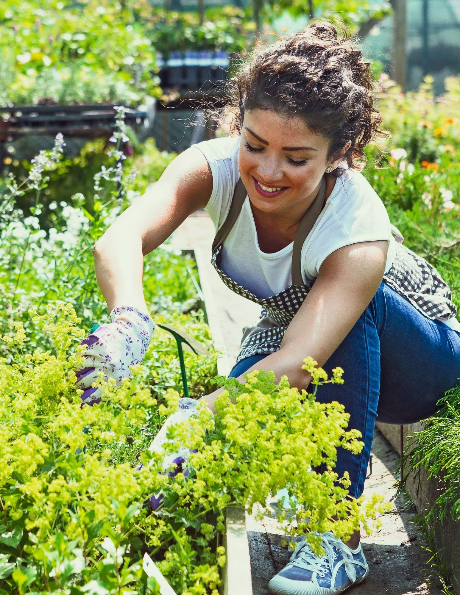 A woman is working in a garden in a greenhouse.