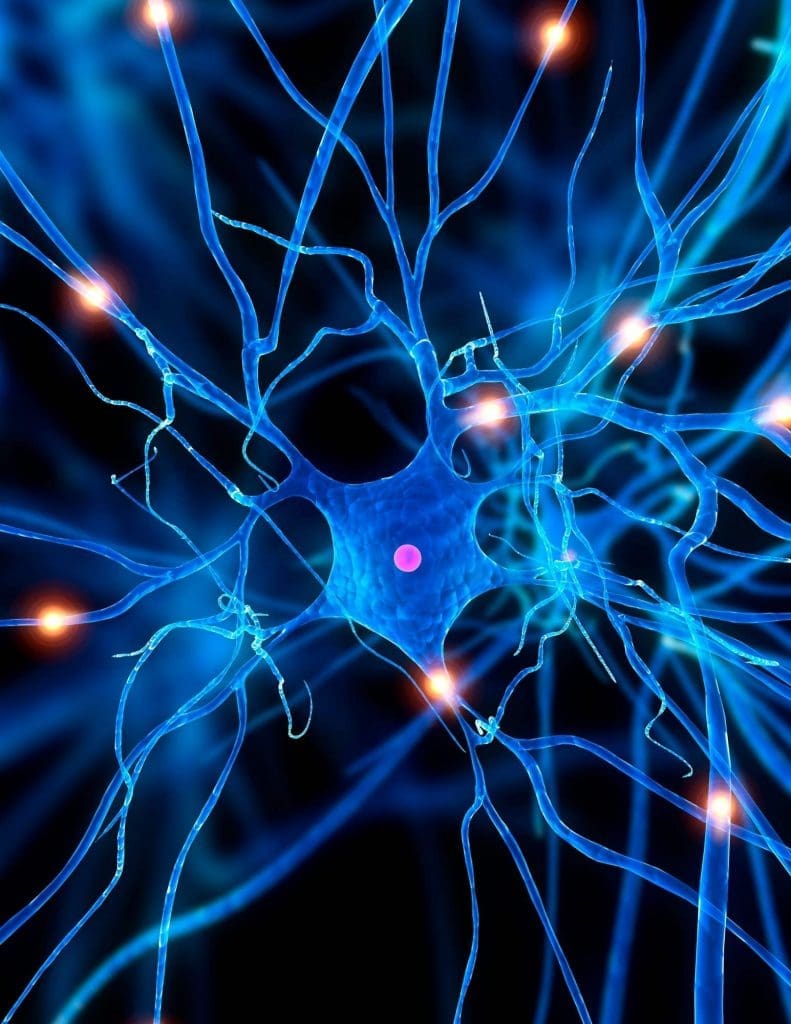 A blue image of a neuron.