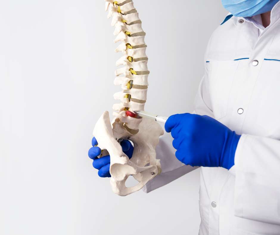 A doctor is holding a skeleton in his hands.